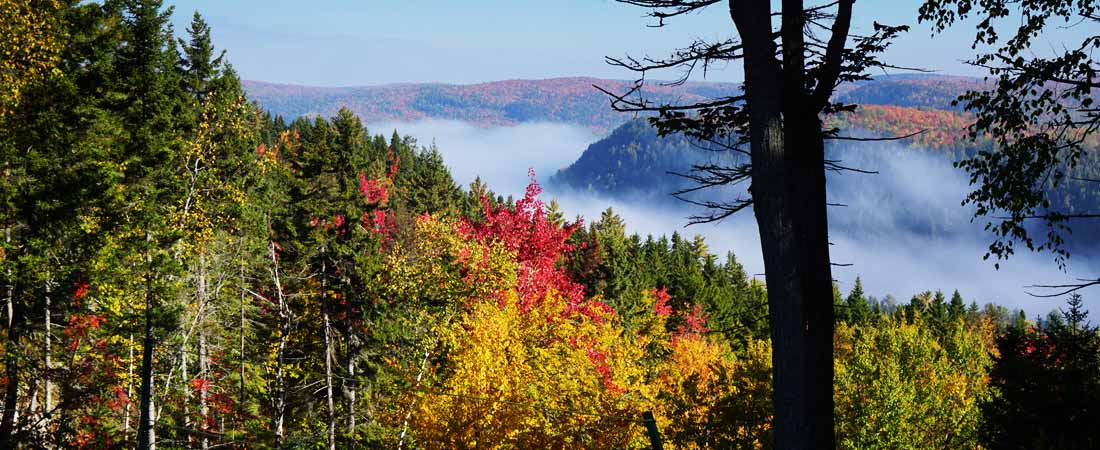 Charmes du Québec, 9 jours